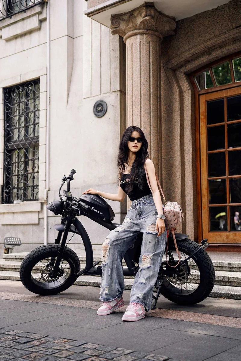 Street Legal Electric Bike Mangosteen FT02 1000w 45km/h EEC COC CE
