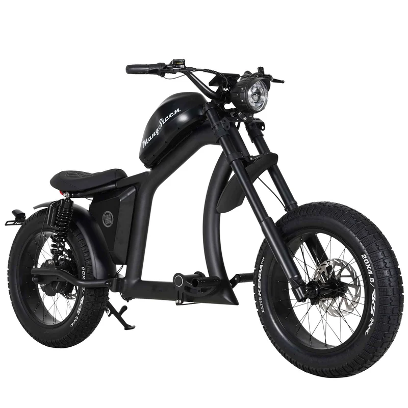 Street Legal Electric Bike Mangosteen FT02 1000w 45km/h EEC COC CE
