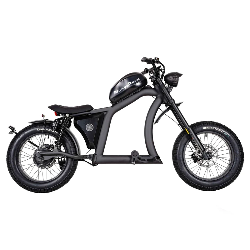 Street Legal Electric Bike Mangosteen FT02 1000w 45km/h EEC COC CE