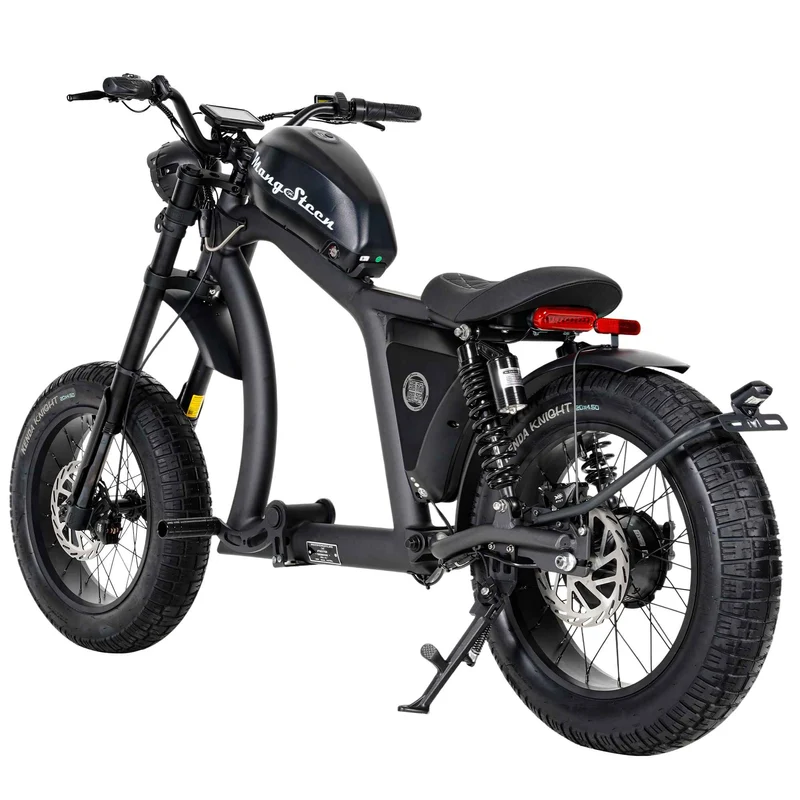 Street Legal Electric Bike Mangosteen FT02 1000w 45km/h EEC COC CE