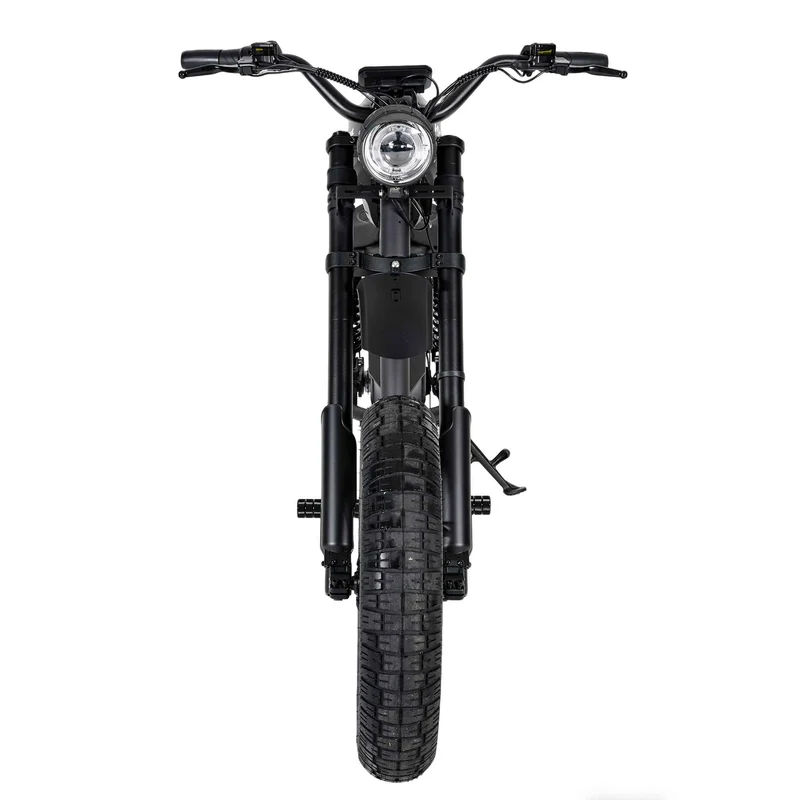 Street Legal Electric Bike Mangosteen FT02 1000w 45km/h EEC COC CE