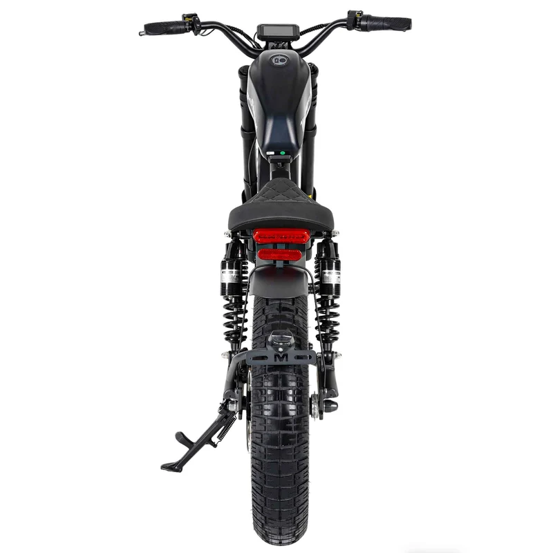Street Legal Electric Bike Mangosteen FT02 1000w 45km/h EEC COC CE