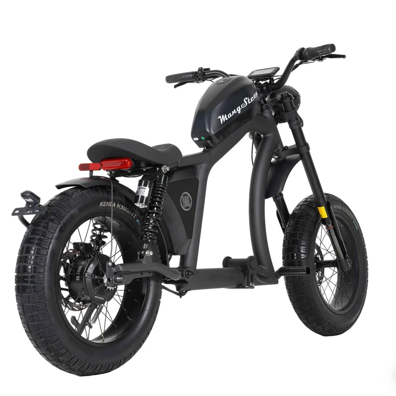Street Legal Electric Bike Mangosteen FT02 1000w 45km/h EEC COC CE