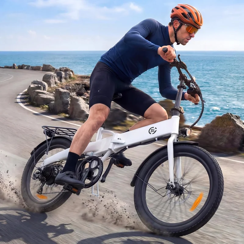 Foldable Electric Bike for Adults 48V 25MPH 20"*3.0" Fat Tire for Sale