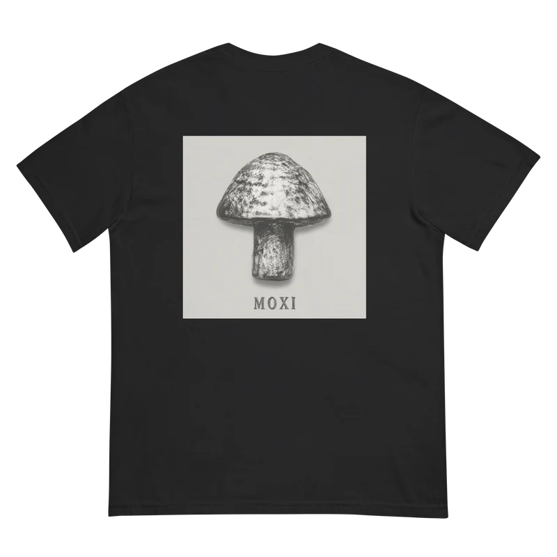Unisex garment-dyed heavyweight t-shirt