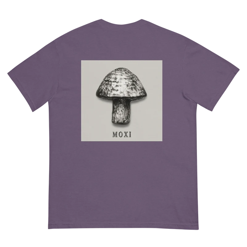 Unisex garment-dyed heavyweight t-shirt