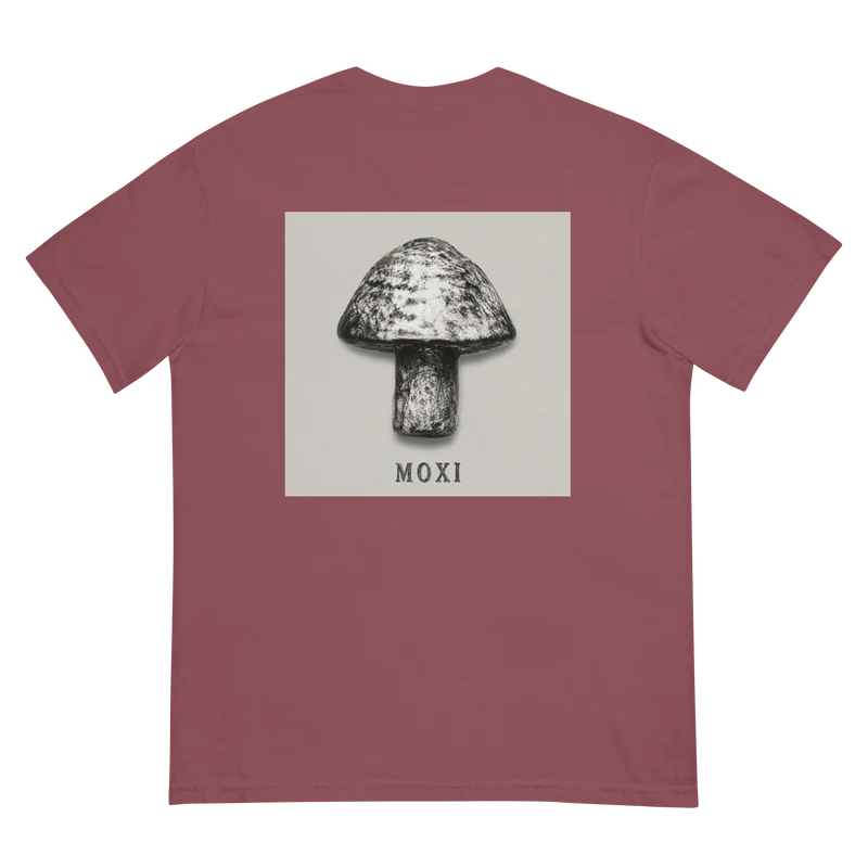 Unisex garment-dyed heavyweight t-shirt