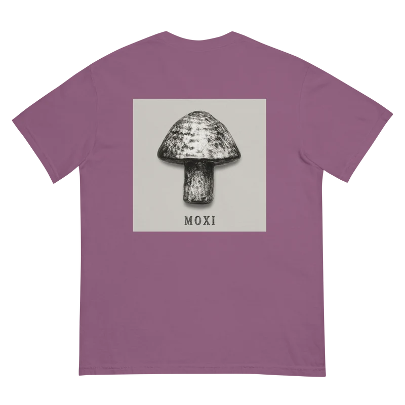 Unisex garment-dyed heavyweight t-shirt