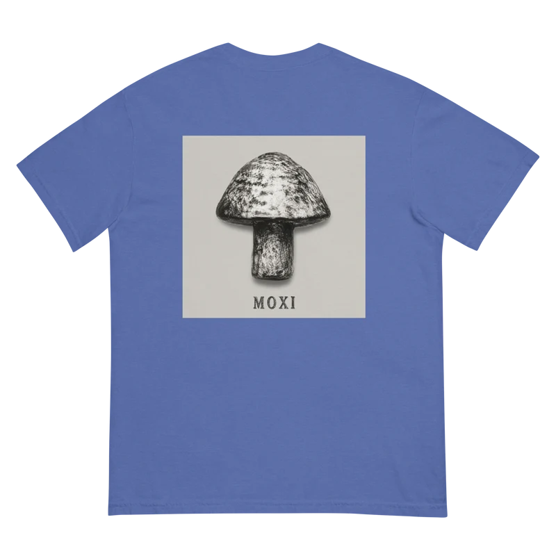 Unisex garment-dyed heavyweight t-shirt