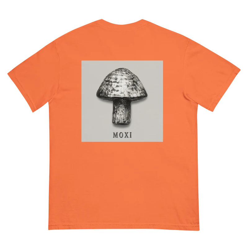 Unisex garment-dyed heavyweight t-shirt