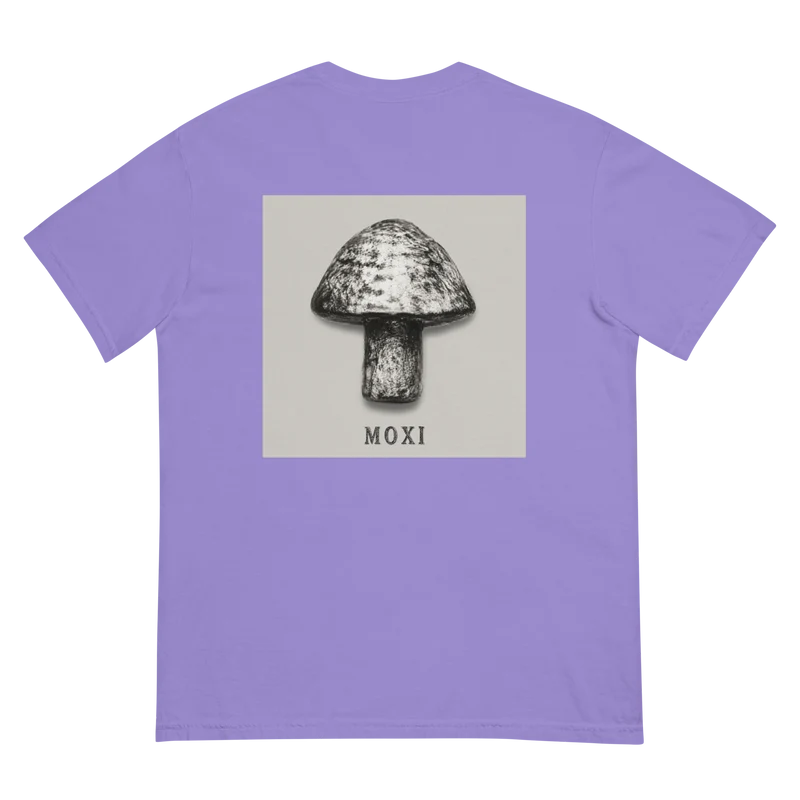 Unisex garment-dyed heavyweight t-shirt