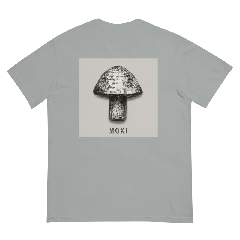 Unisex garment-dyed heavyweight t-shirt