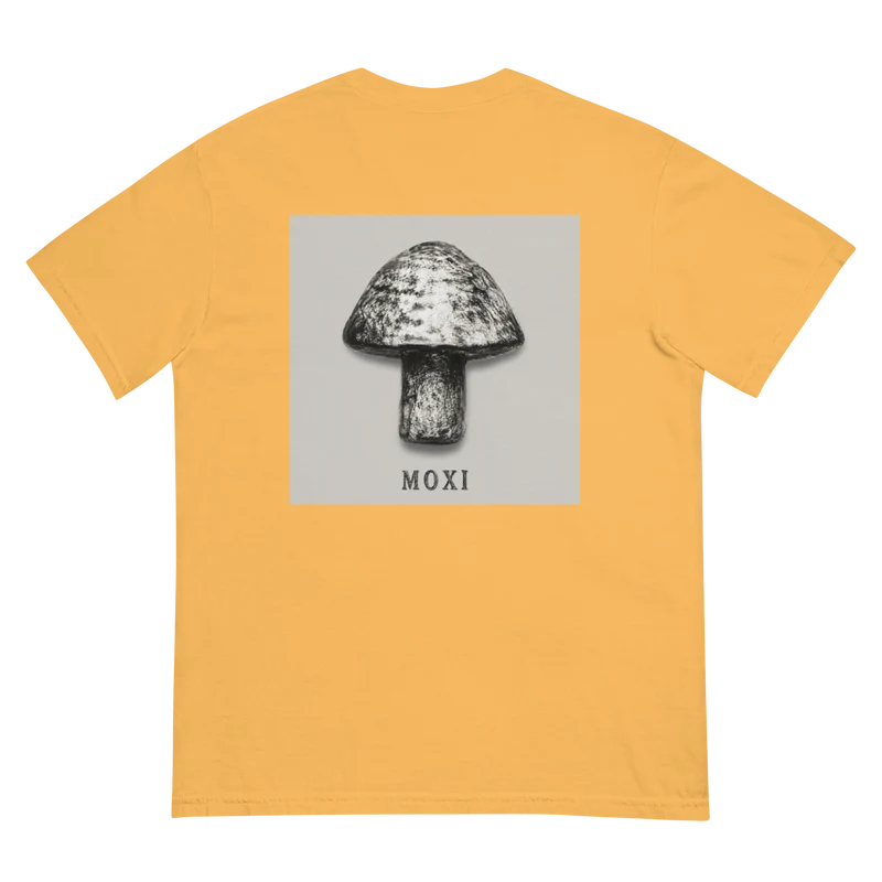 Unisex garment-dyed heavyweight t-shirt