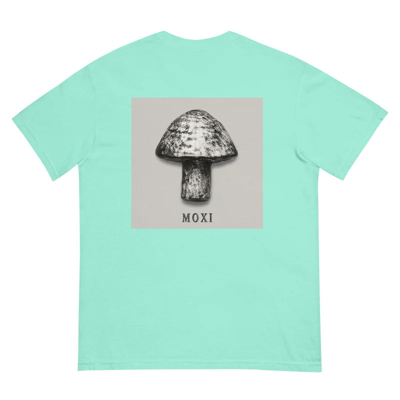 Unisex garment-dyed heavyweight t-shirt
