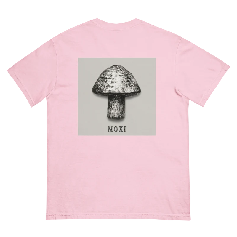 Unisex garment-dyed heavyweight t-shirt