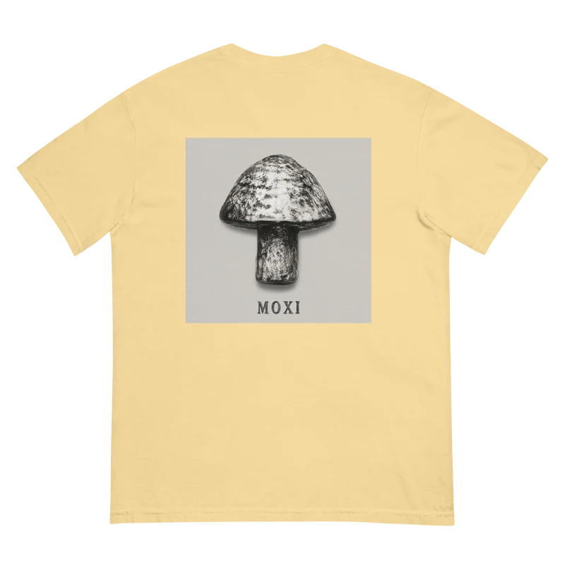 Unisex garment-dyed heavyweight t-shirt