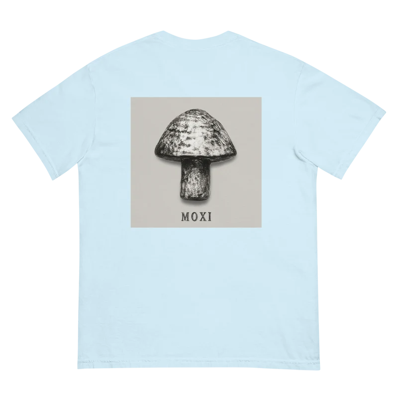 Unisex garment-dyed heavyweight t-shirt