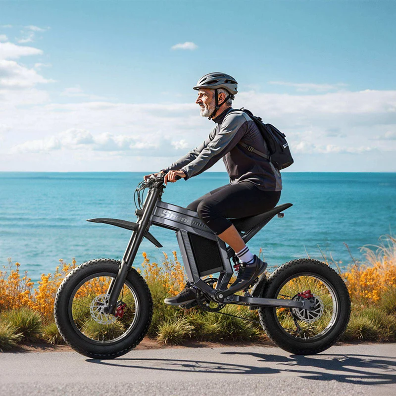 Electric Dirt Bike 45-65 KM/H Speed 60V 30A 110KM Long Range