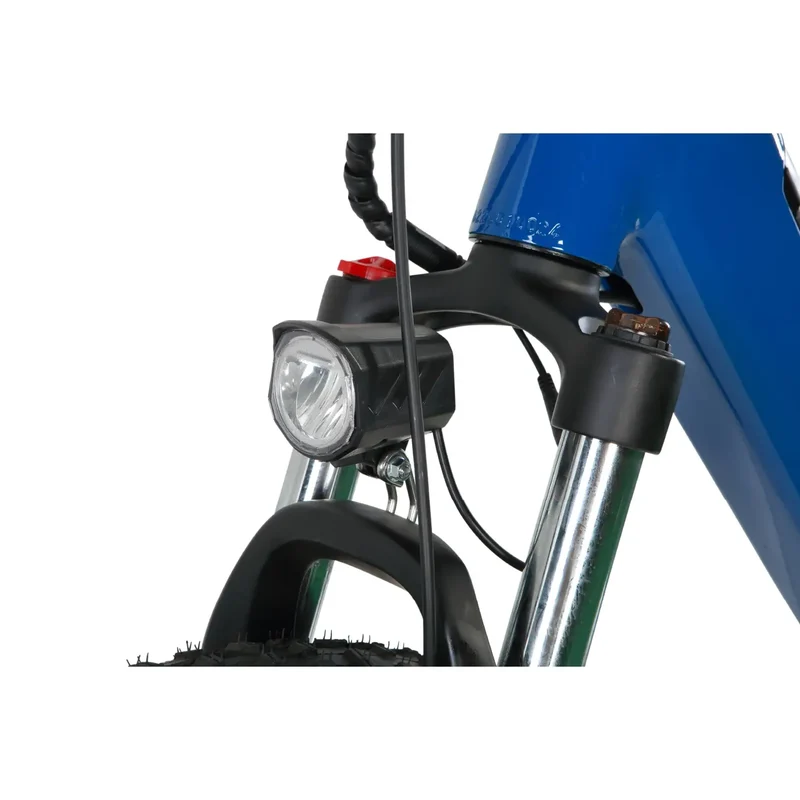 ROBUSTO Electric Mountain Bike by ElectricGOBIKE