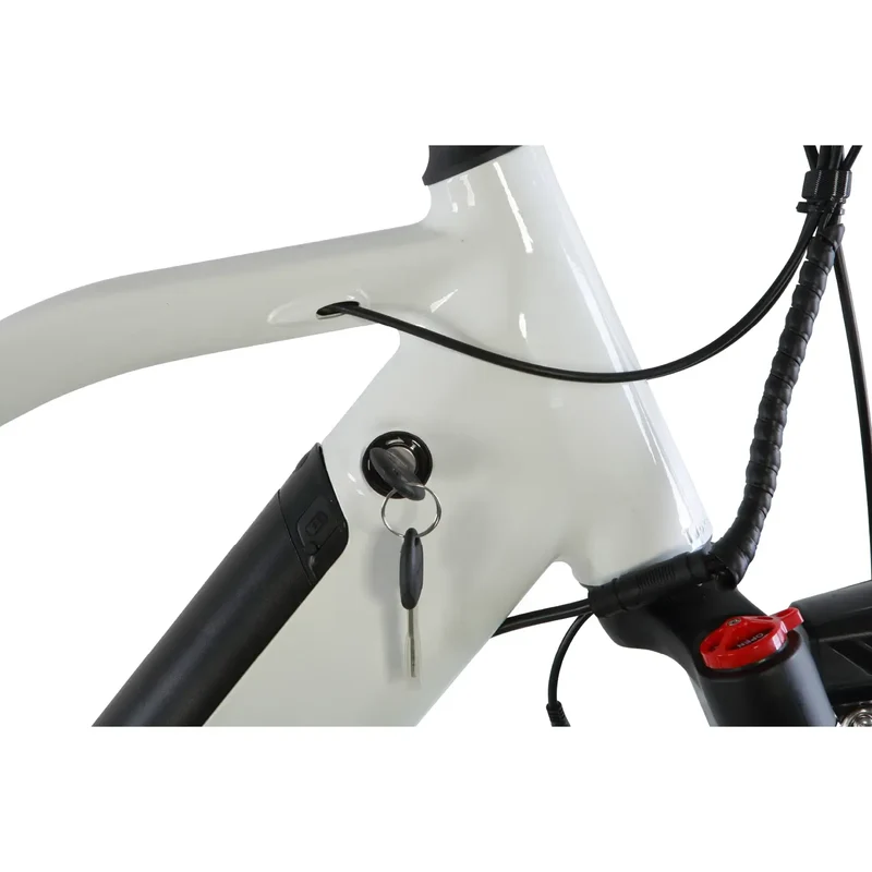 ROBUSTO Electric Mountain Bike by ElectricGOBIKE