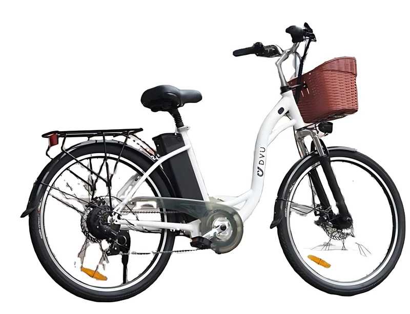 DYU C6