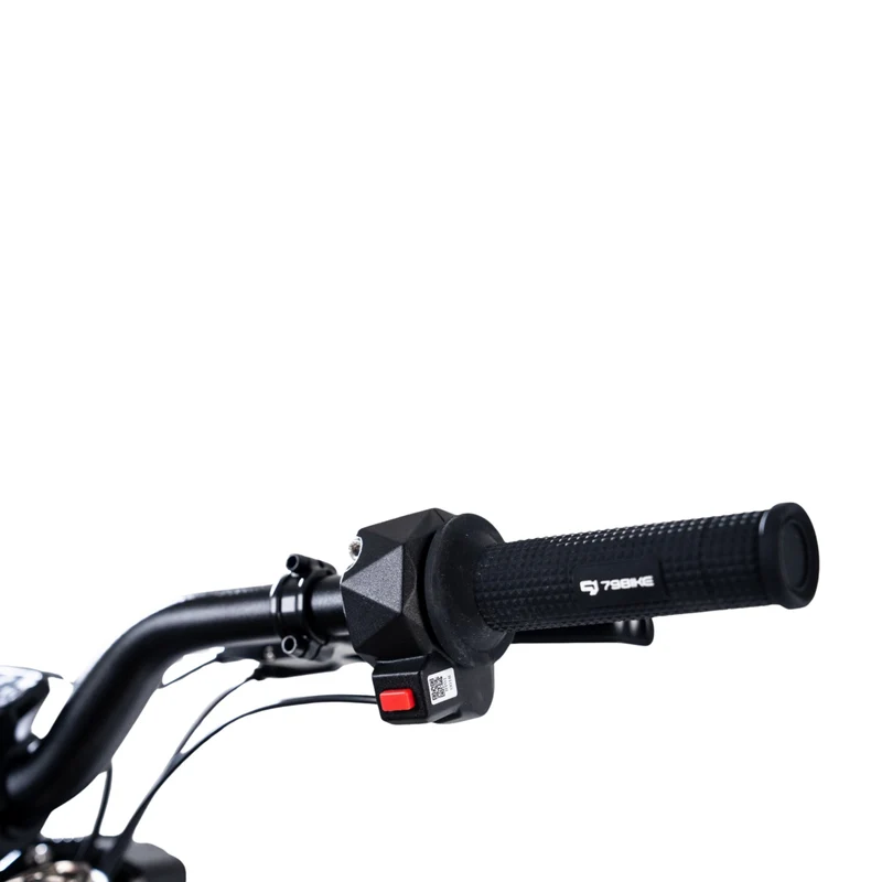 79BIKE Lynx Trail