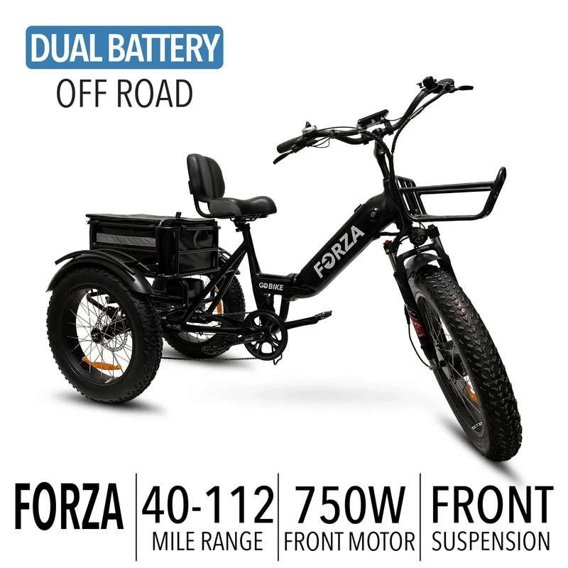 FORZA Electric Tricycle by ElectricGOBIKE