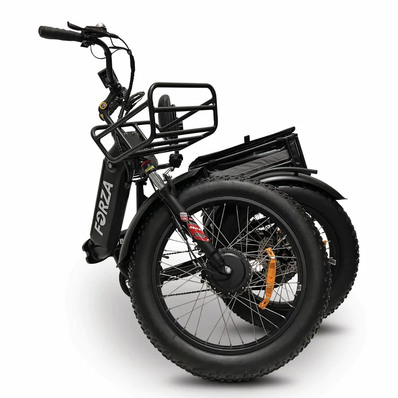 FORZA Electric Tricycle by ElectricGOBIKE