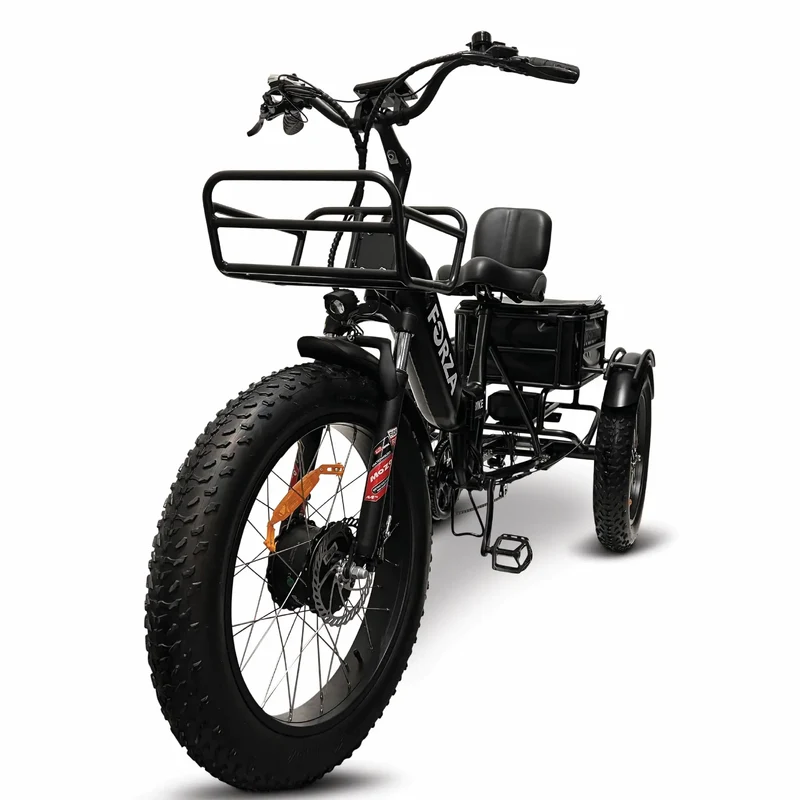 FORZA Electric Tricycle by ElectricGOBIKE