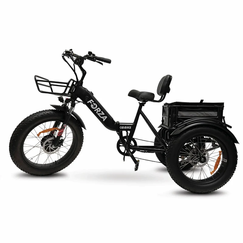 FORZA Electric Tricycle by ElectricGOBIKE