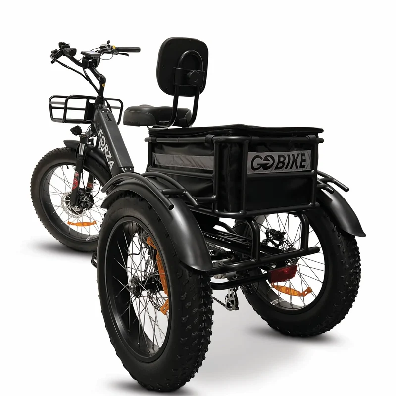 FORZA Electric Tricycle by ElectricGOBIKE