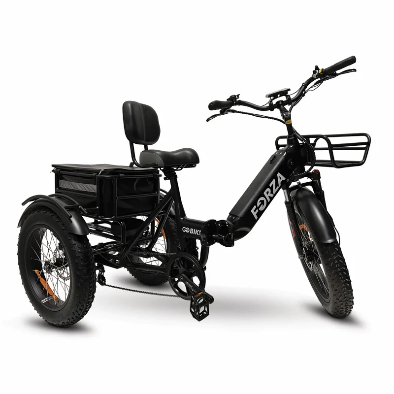 FORZA Electric Tricycle by ElectricGOBIKE
