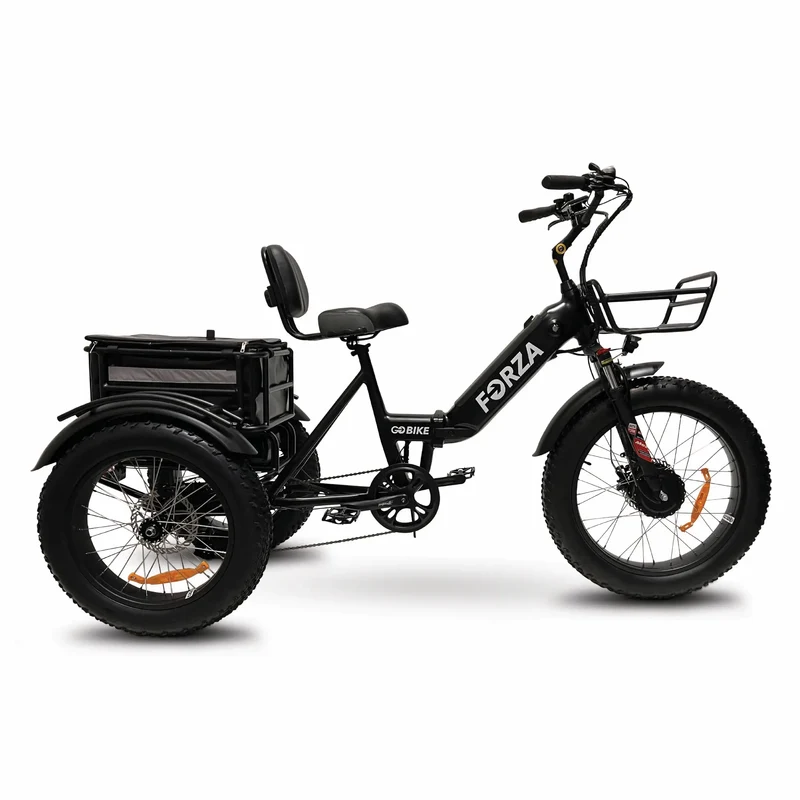 FORZA Electric Tricycle by ElectricGOBIKE