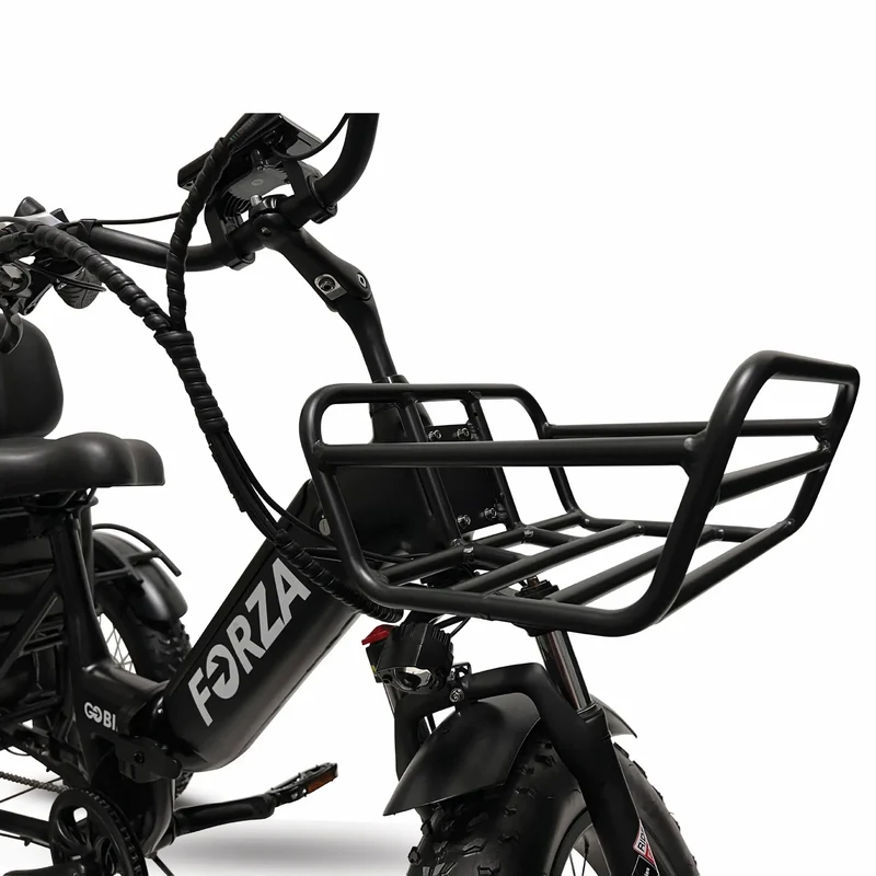 FORZA Electric Tricycle by ElectricGOBIKE