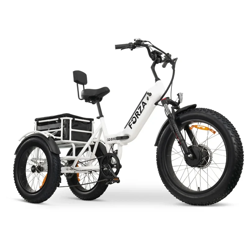 FORZA Electric Tricycle by ElectricGOBIKE