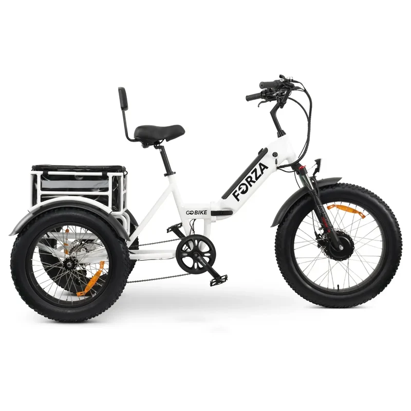FORZA Electric Tricycle by ElectricGOBIKE