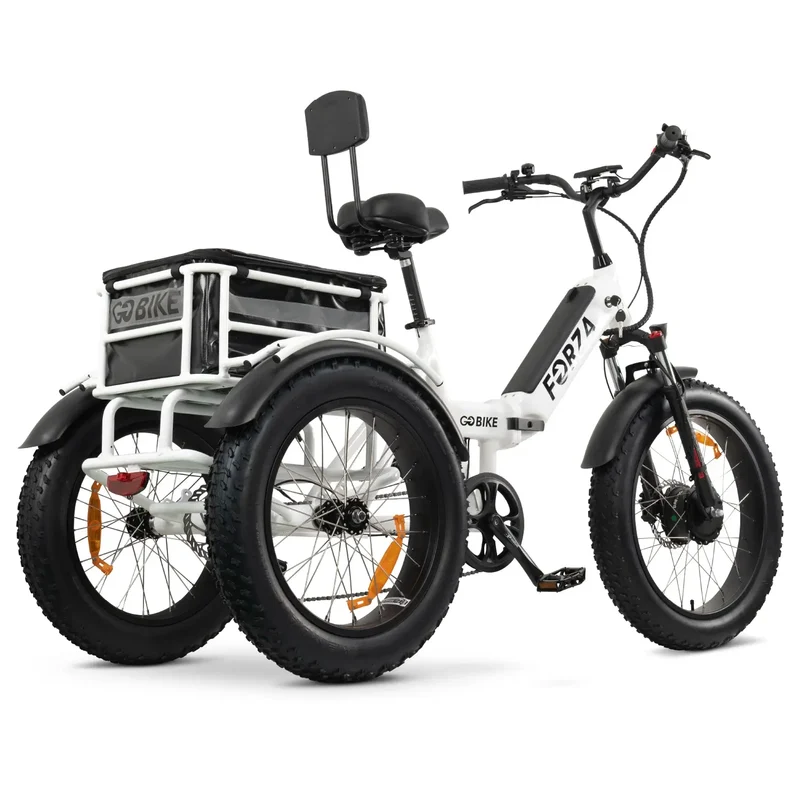 FORZA Electric Tricycle by ElectricGOBIKE