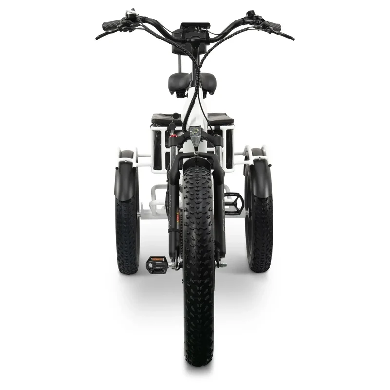FORZA Electric Tricycle by ElectricGOBIKE