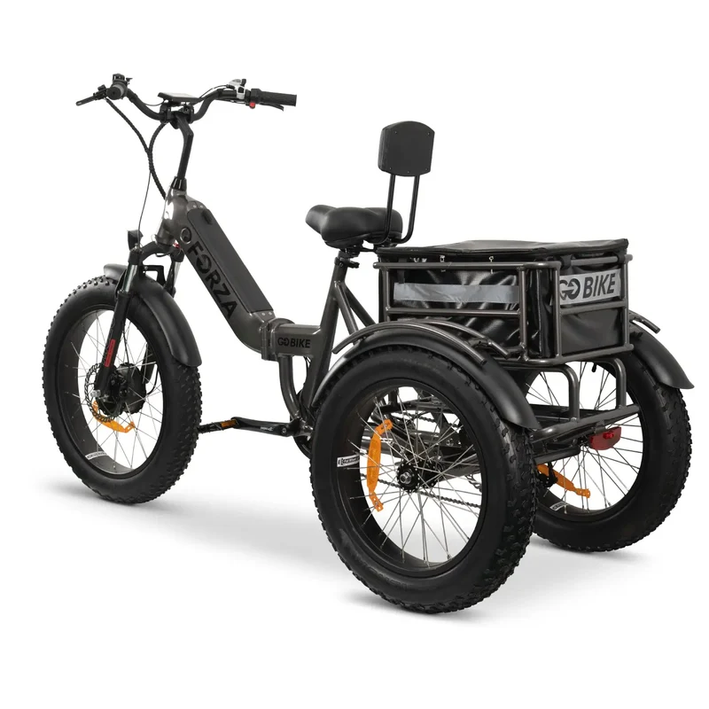 FORZA Electric Tricycle by ElectricGOBIKE