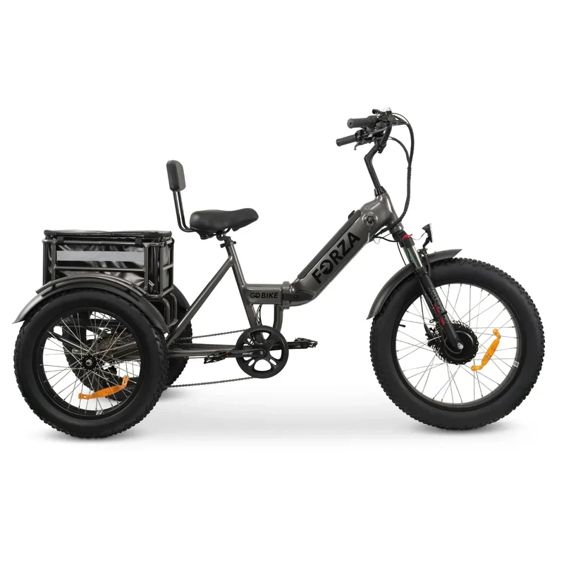 FORZA Electric Tricycle by ElectricGOBIKE