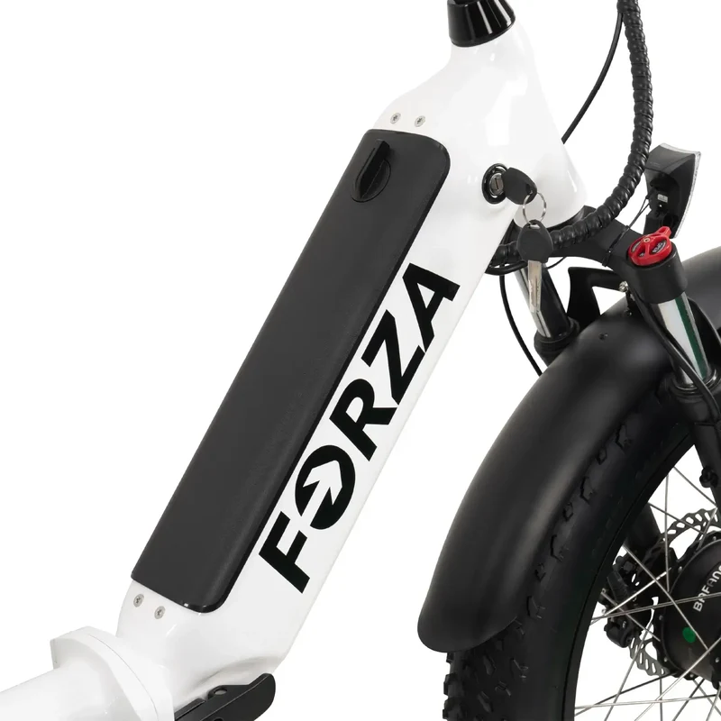 FORZA Electric Tricycle by ElectricGOBIKE