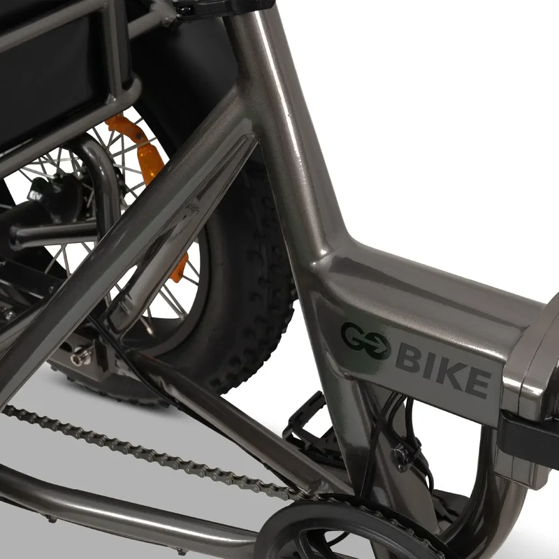 FORZA Electric Tricycle by ElectricGOBIKE