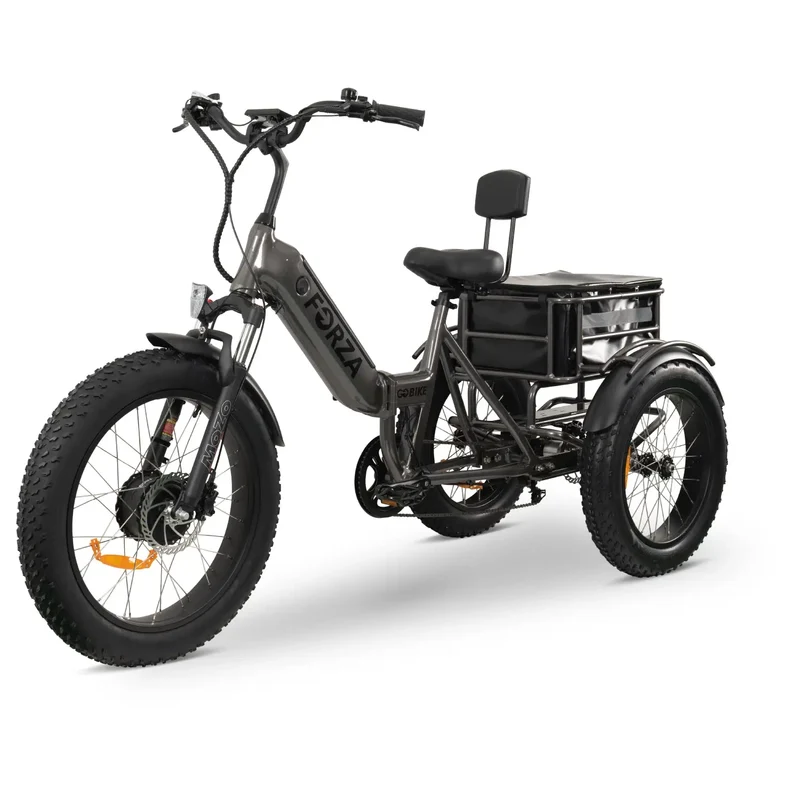 FORZA Electric Tricycle by ElectricGOBIKE