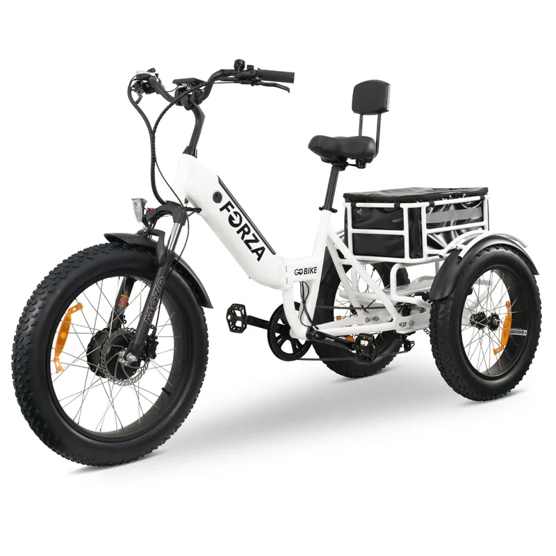 FORZA Electric Tricycle by ElectricGOBIKE