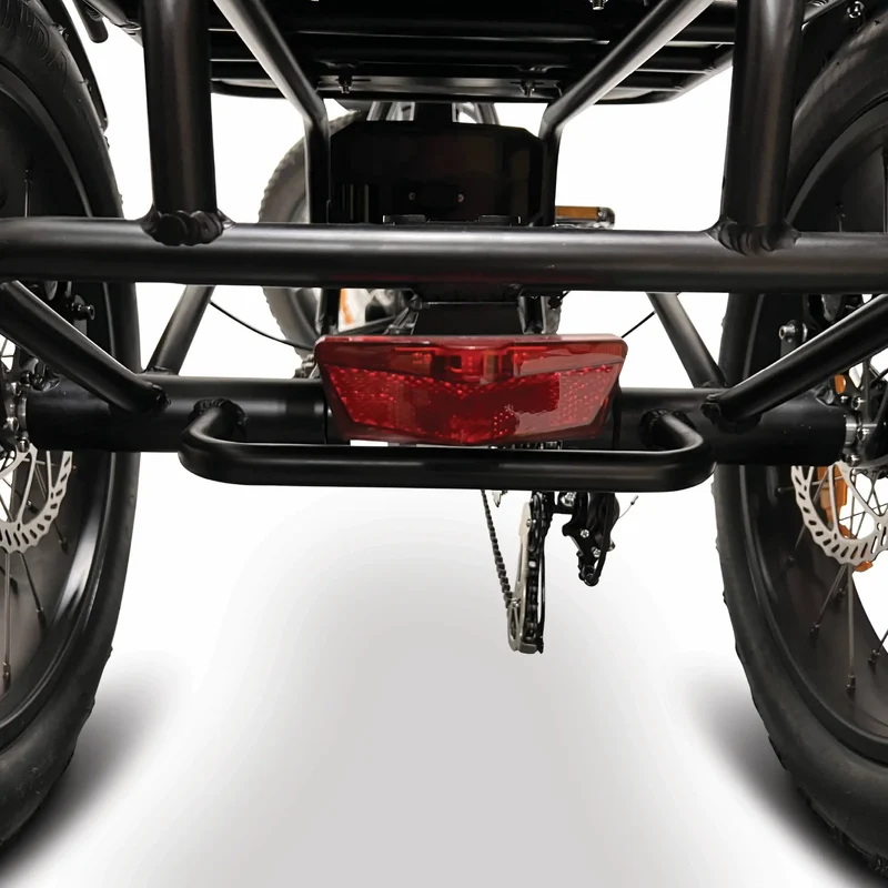 FORZA Electric Tricycle by ElectricGOBIKE