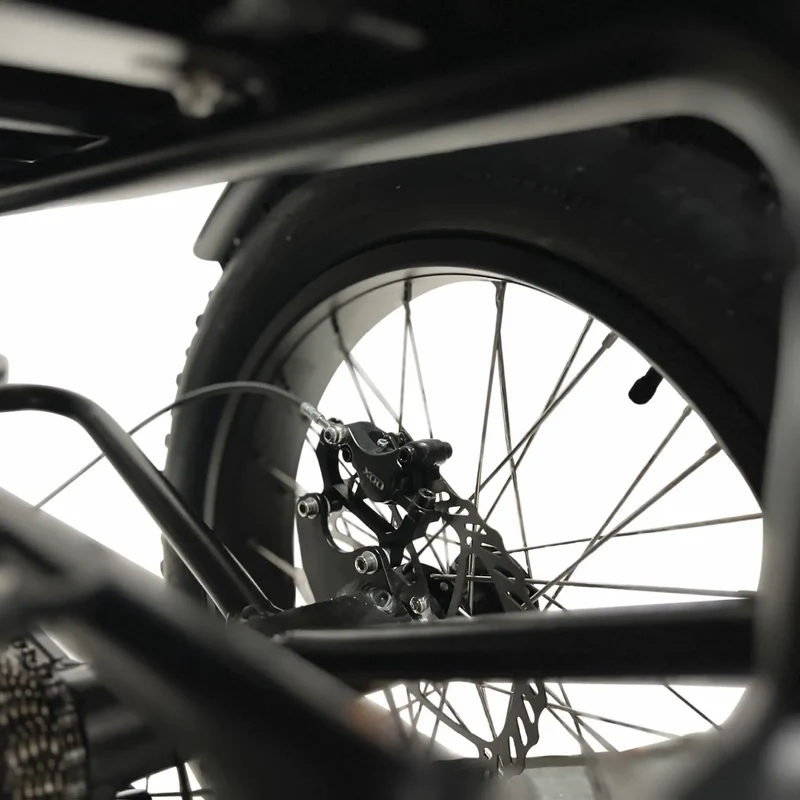 FORZA Electric Tricycle by ElectricGOBIKE