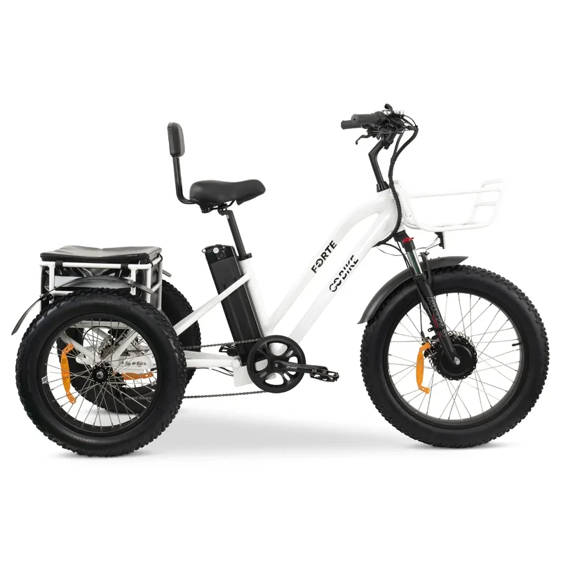 FORTE Electric Tricycle by ElectricGOBIKE