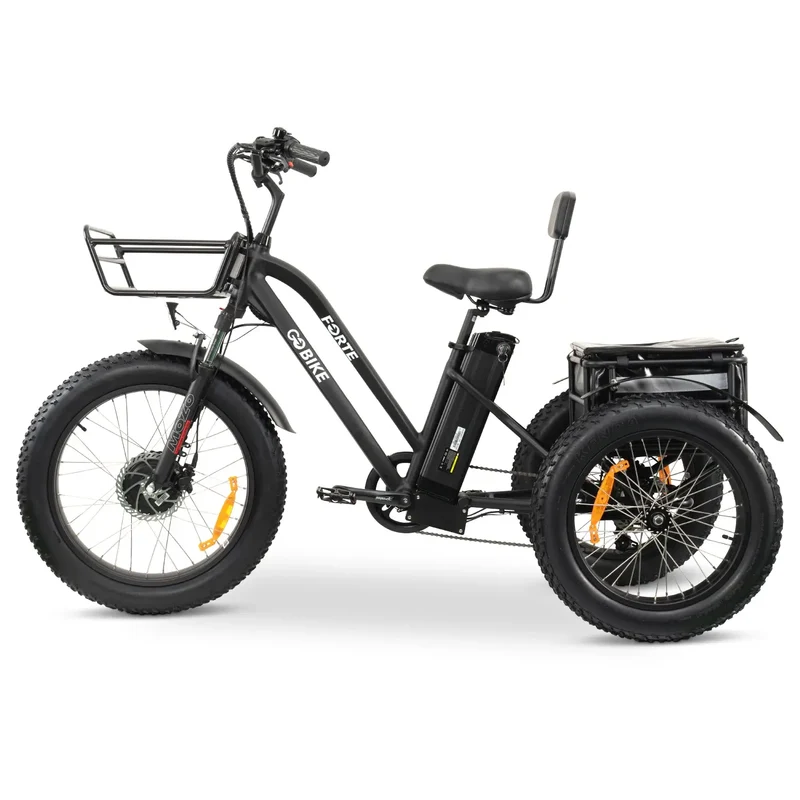 FORTE Electric Tricycle by ElectricGOBIKE