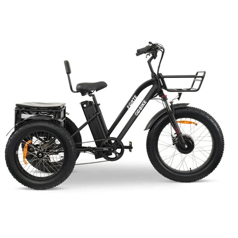 FORTE Electric Tricycle by ElectricGOBIKE