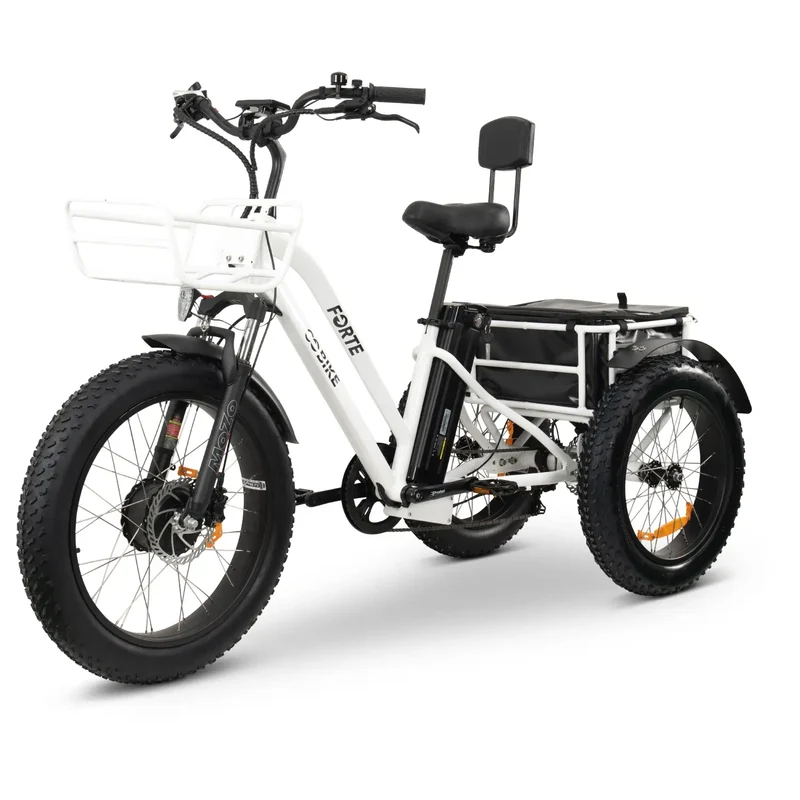 FORTE Electric Tricycle by ElectricGOBIKE